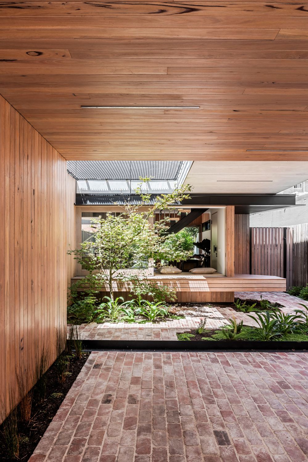 10 Terrific Trees for Your Courtyard