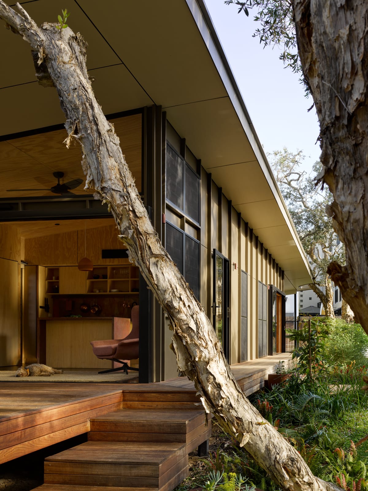 PaperBark Pod by Bark Design. Rear facade of home from side angle. Timber deck and stairs lead to open plan living area.
